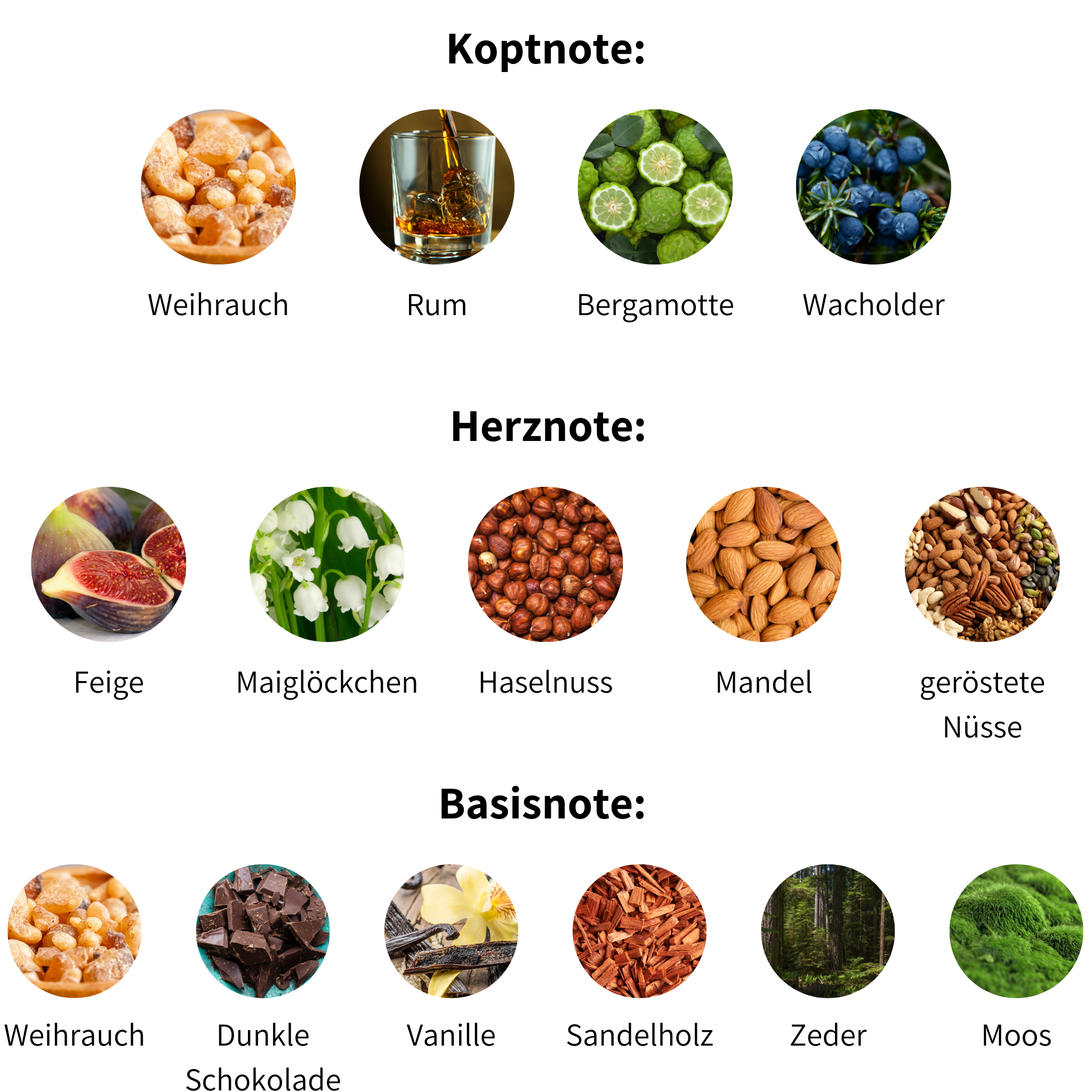 ingredients