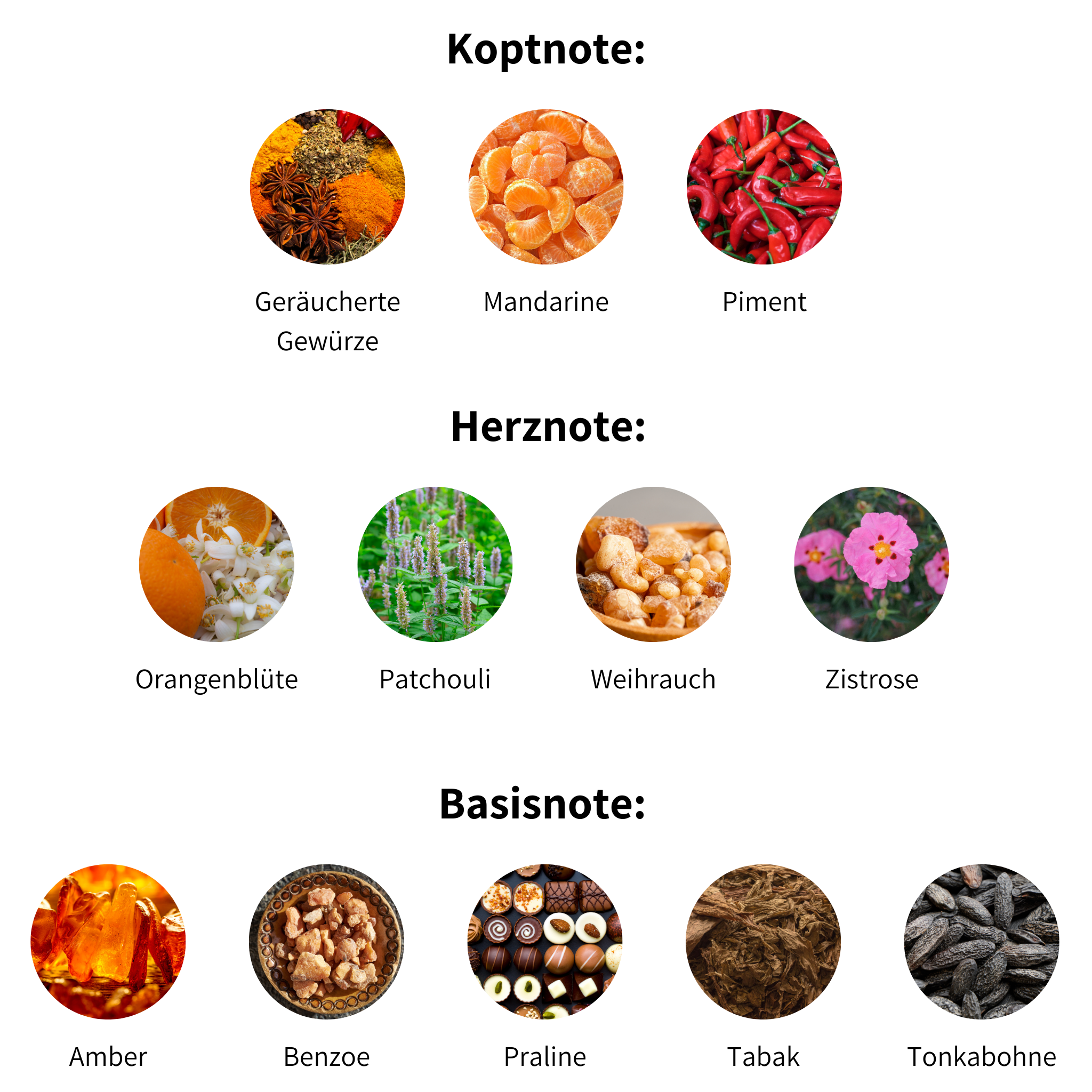 ingredients